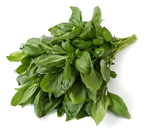 - Kopie - Kopie - Kopie - Kopie